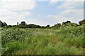 Bedfont Lakes Country Park