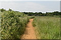 Bedfont Lakes Country Park