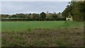 Field south of Stoke-by-Nayland