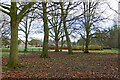 Bradmore Recreation Ground in Penn Fields, Wolverhampton