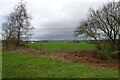 Between Braimber Lane and the A168