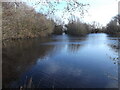 Ponds near Moor House Farm