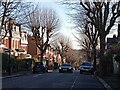 Pollarded plane trees on Oakfield Road