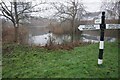 Duck pond at Stockwell Heath