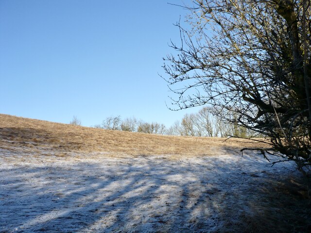 Frosty field near East Mains, Stonehouse © Alan O'Dowd :: Geograph ...