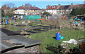 Hedgemans Road Allotments