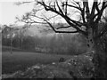 A view towards Holmehead, Langcliffe