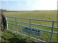 More ridge and furrow in a field