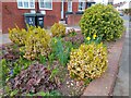 Flower bed on Woodlands Park Road, Harringay