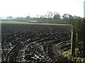 SJ6579 : The muddy fields of Antrobus by Paul Baxter