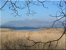NY2618 : Looking North across Derwent water by Paul Allison