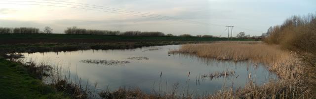 Barlby Ponds © Paul Allison :: Geograph Britain and Ireland