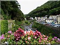 SS7249 : Looking Up the Lyn River at Lynmouth by Pam Brophy