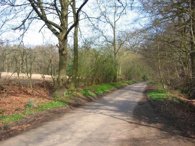 Road from Potters Crouch to Chiswell Green