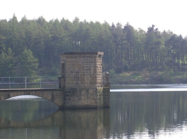 Linacre Top Reservoir in Linacre Wood