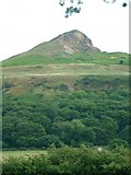 NZ5712 : Roseberry Topping by Elaine Morgan