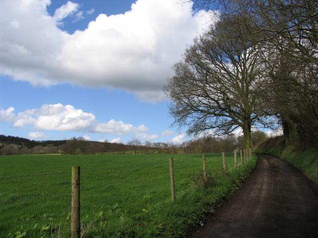 Cox's Lane