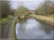 SJ9199 : Cinderland Bridge, Hollinwood Branch Canal, Littlemoss by Martin Clark
