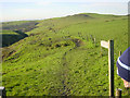 Medlock Valley Way, Strine Dale