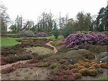 TQ0659 : Part of the National Heather collection, RHS Wisley by Martyn Pattison
