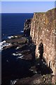 NC1248 : Cliffs on the Isle of Handa by Anne Burgess
