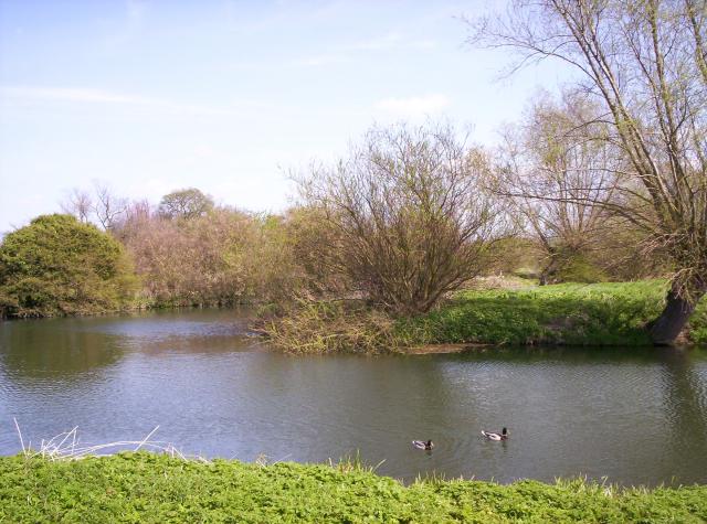 The River Cam southwest of Cambridge