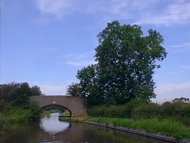 Cheadles Bridge, No 81, Coventry Canal