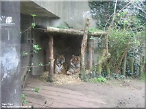 TQ2883 : London Zoo in Regent's Park by Vicky Ayech