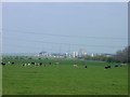 Meadow near Sheppey bridge construction site