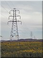 Power Line Strides Through a Rape Field