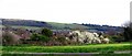 Looking at a section of Findon West of Cissbury Ring