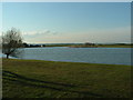 TQ9519 : Pound Field Farm Lake, Camber, East Sussex. by Paul Russon