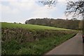 Chisbridge Cross