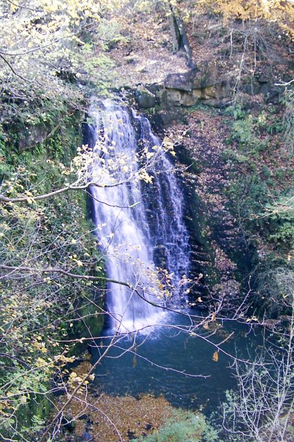 Sneaton Forest - Falling Foss water fall