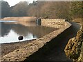 Frensham Little Pond