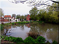 SU4981 : Village Pond: East Ilsley by Pam Brophy