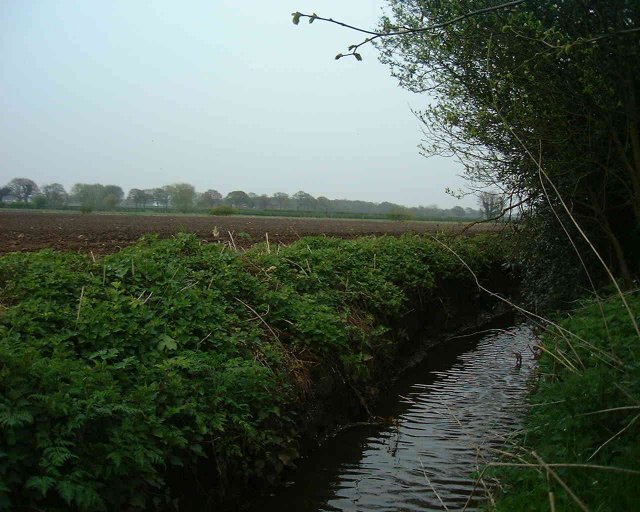 The Eastern Edge of Whitley Reed