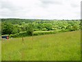 A further view from Penrhiw