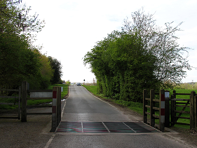 Cattle Grid: Kintbury Gate on Hungerford Common