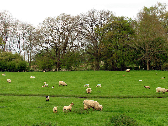 Farmland in the vicinity of Totterdown