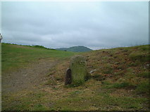SO7641 : Boundary Stone on the Malvern Hills by Bob Embleton