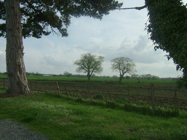 Across the fields.