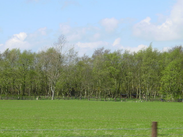 Grazing land at Maiden Law