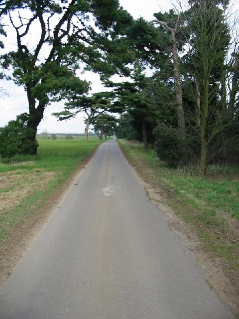 Road across the heath