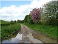 Warren Dale below Lairhill House