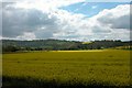 Looking over Rape fields towards South Harting