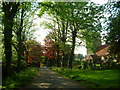 Milton Church with driveway to Manorhouse