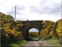 NZ9602 : Road bridge (to Stoupe Bank) over the old Scarborough to Whitby Railway by Andy Beecroft