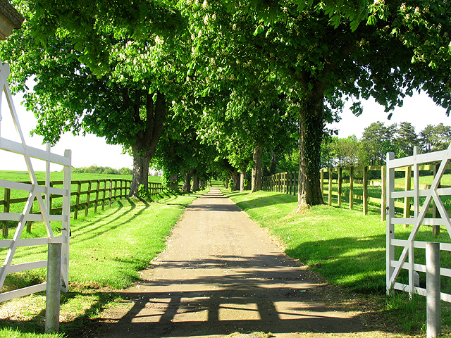 Entrance to Wyld Court Stud \u00a9 Pam Brophy :: Geograph Britain and Ireland