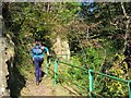 The Mill Glen walkway